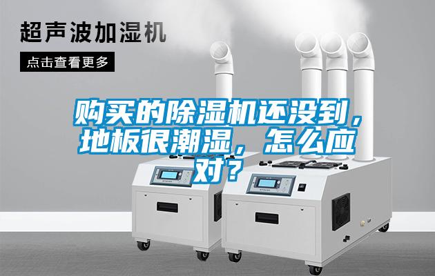 購買的91视频链接下载還沒到，地板很潮濕，怎麽應對？