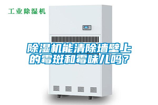 91视频链接下载能清除牆壁上的黴斑和黴味兒嗎？