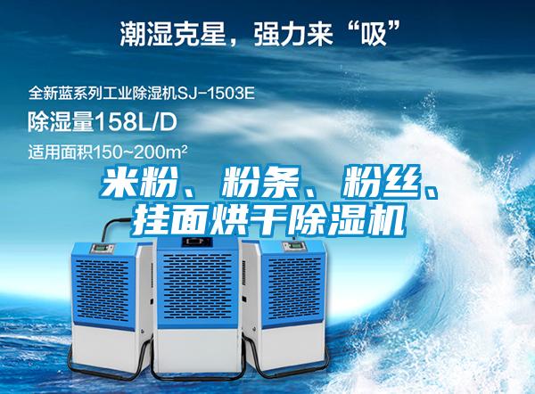 米粉、粉條、粉絲、掛麵烘幹91视频链接下载