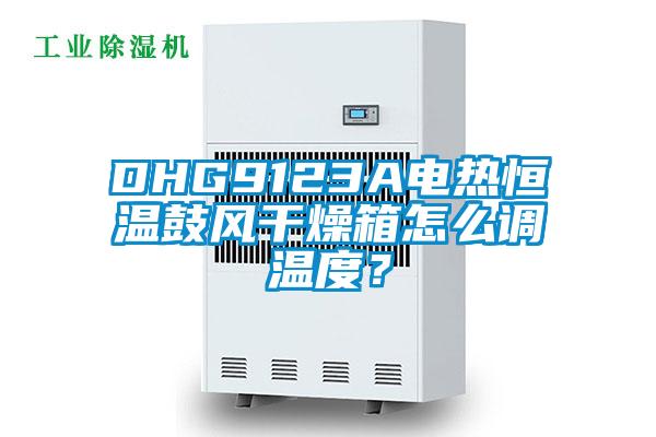 DHG9123A電熱恒溫鼓風幹燥箱怎麽調溫度？