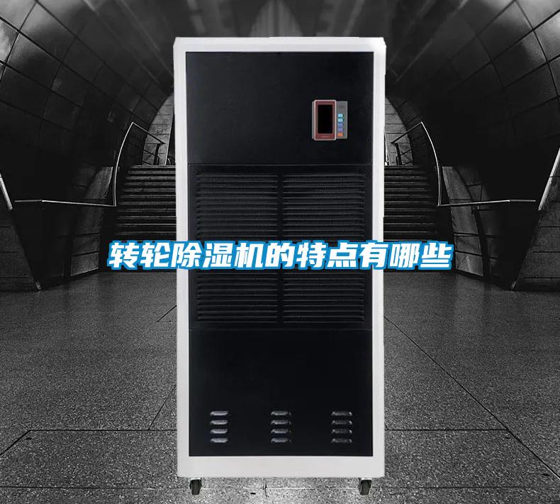 轉輪91视频链接下载的特點有哪些