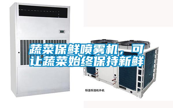 蔬菜保鮮噴霧機，可讓蔬菜始終保持新鮮