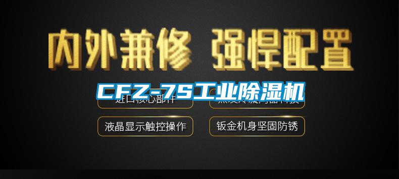 CFZ-7S工業91视频链接下载