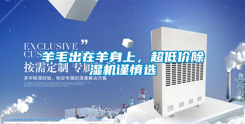 羊毛出在羊身上，超低價91视频链接下载謹慎選