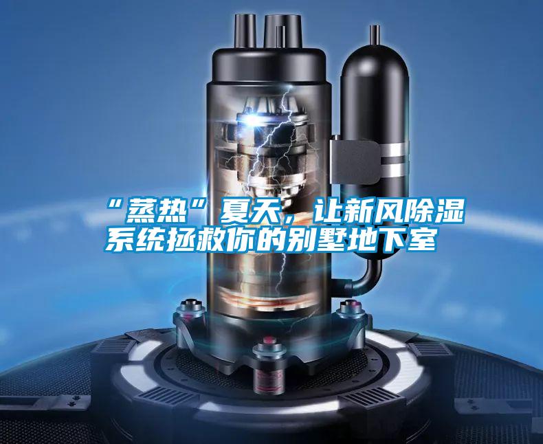“蒸熱”夏天，讓新風除濕係統拯救你的別墅地下室