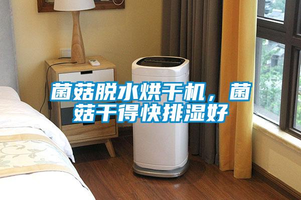 菌菇脫水烘幹機，菌菇幹得快排濕好