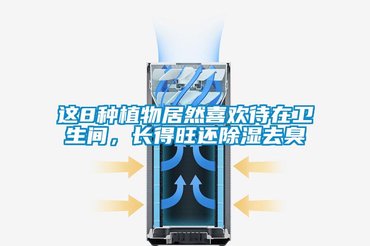 這8種植物居然喜歡待在衛生間，長得旺還除濕去臭