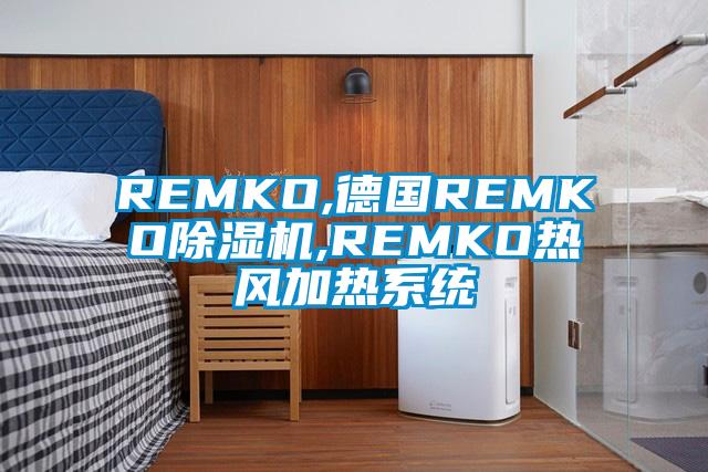 REMKO,德國REMKO91视频链接下载,REMKO熱風加熱係統