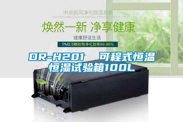 DR-H201 可程式恒溫恒濕試驗箱100L
