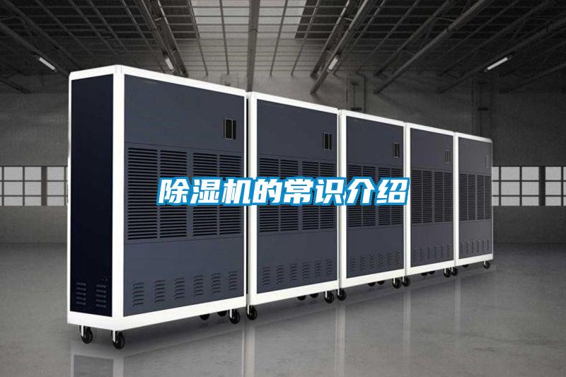 91视频链接下载的常識介紹