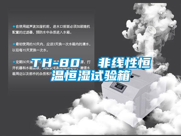 TH-80 非線性恒溫恒濕試驗箱