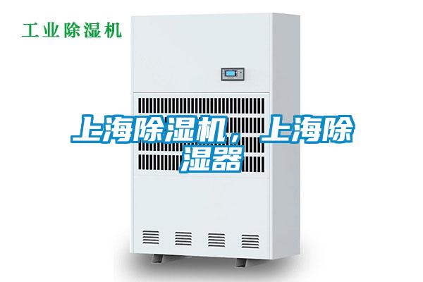 上海91视频链接下载，上海除濕器