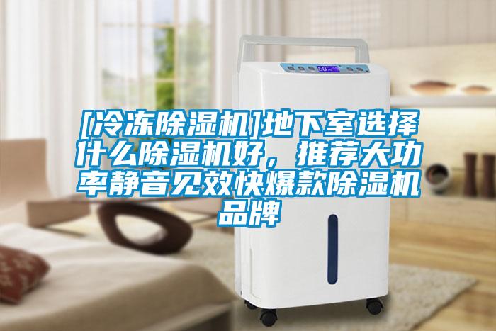 [冷凍91视频链接下载]地下室選擇什麽91视频链接下载好，推薦大功率靜音見效快爆款91视频链接下载品牌