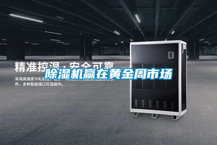 91视频链接下载贏在黃金周市場