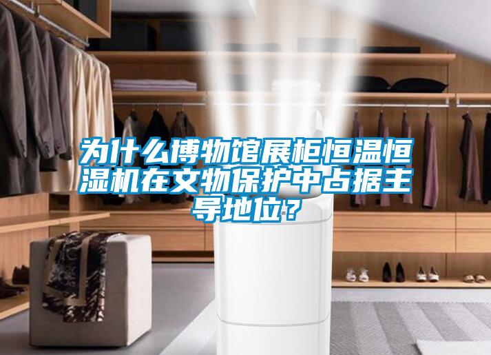 為什麽博物館展櫃恒溫恒濕機在文物保護中占據主導地位？