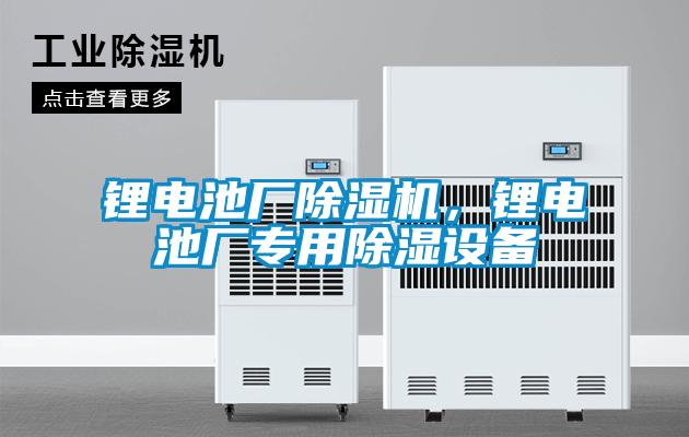 鋰電池廠91视频链接下载，鋰電池廠專用除濕設備