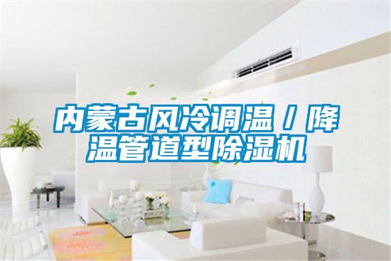 內蒙古風冷調溫/降溫管道型91视频链接下载