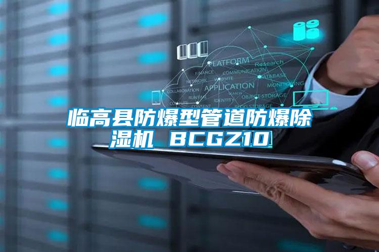 臨高縣防爆型管道防爆91视频链接下载 BCGZ10