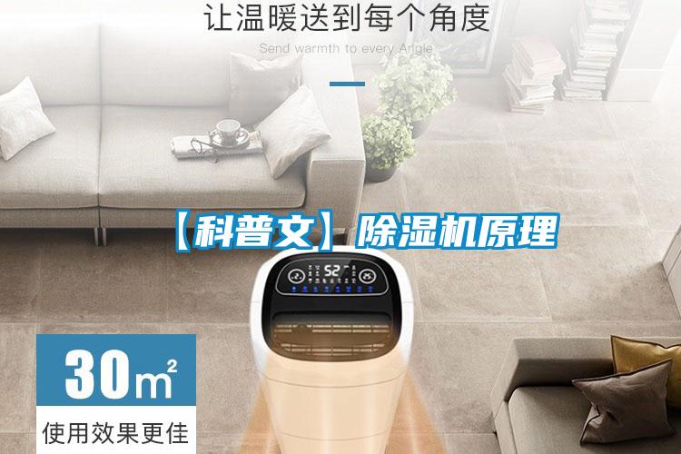 【科普文】91视频链接下载原理