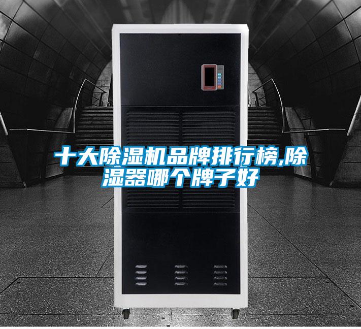 十大91视频链接下载品牌排行榜,除濕器哪個牌子好
