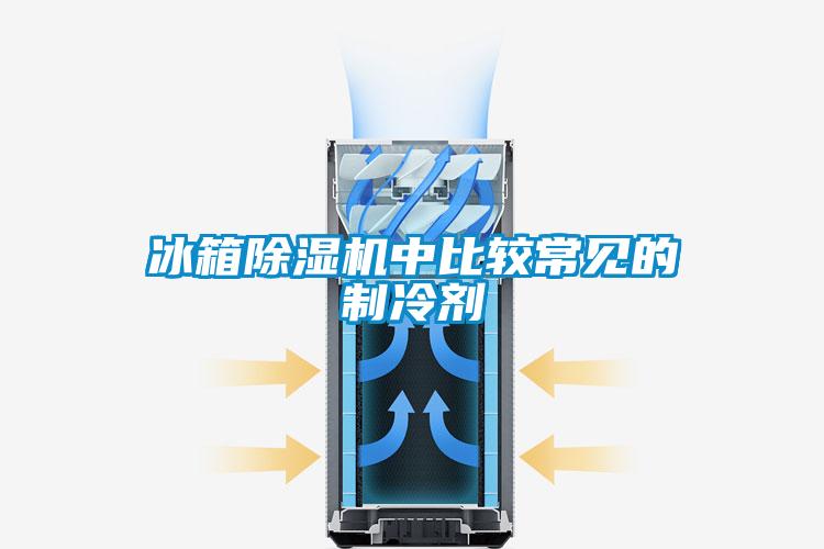 冰箱91视频链接下载中比較常見的製冷劑