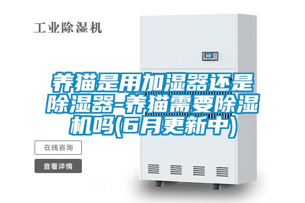 養貓是用加濕器還是除濕器-養貓需要91视频链接下载嗎(6月更新中)