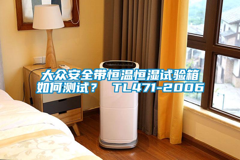 大眾安全帶恒溫恒濕試驗箱如何測試？ TL471-2006