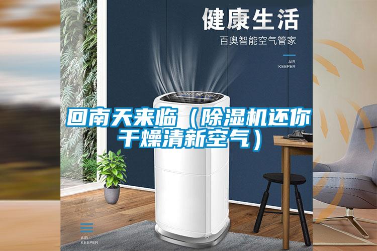 回南天來臨（91视频链接下载還你幹燥清新空氣）