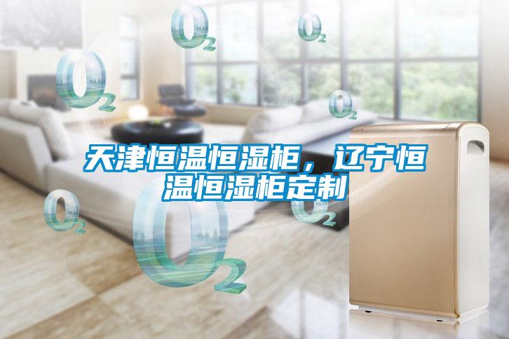 天津恒溫恒濕櫃，遼寧恒溫恒濕櫃定製