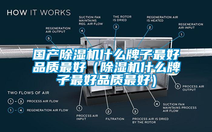 國產91视频链接下载什麽牌子最好品質最好(91视频链接下载什麽牌子最好品質最好)