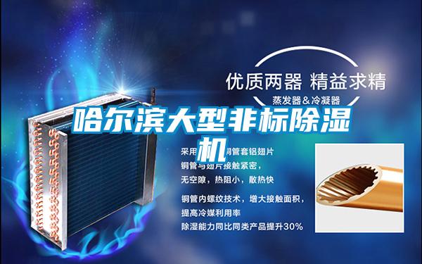 哈爾濱大型非標91视频链接下载