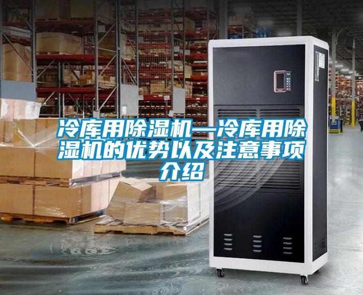 冷庫用91视频链接下载—冷庫用91视频链接下载的優勢以及注意事項介紹