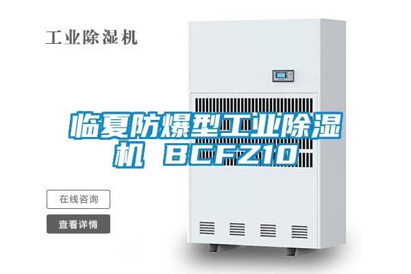 臨夏防爆型工業91视频链接下载 BCFZ10