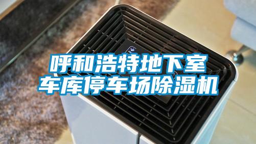 呼和浩特地下室車庫停車場91视频链接下载