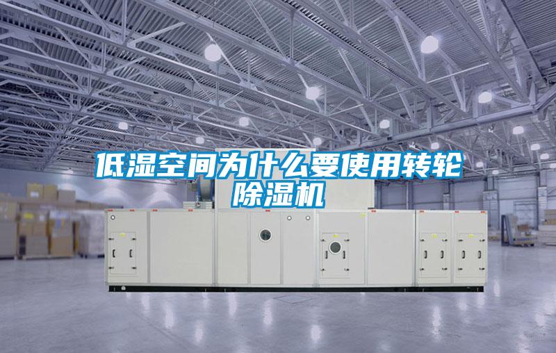 低濕空間為什麽要使用轉輪91视频链接下载