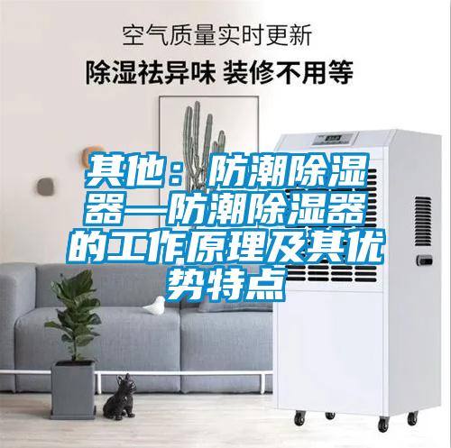 其他：防潮除濕器—防潮除濕器的工作原理及其優勢特點