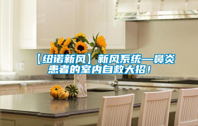 【紐諾新風】新風係統—鼻炎患者的室內自救大招！