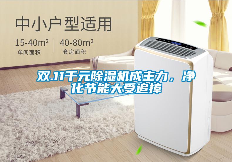 雙.11千元91视频链接下载成主力，淨化節能大受追捧