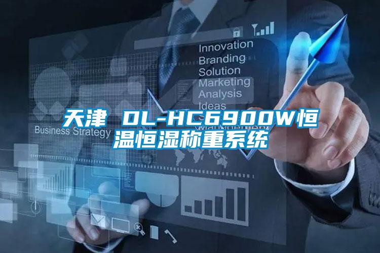 天津 DL-HC6900W恒溫恒濕稱重係統