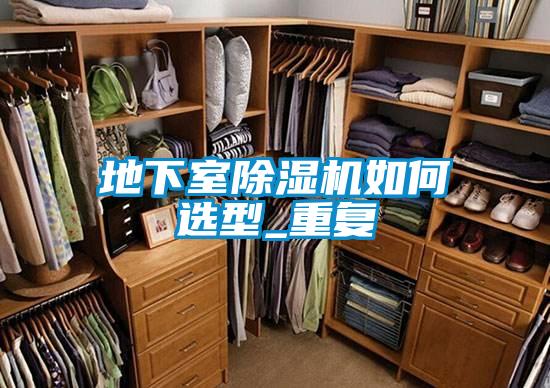 地下室91视频链接下载如何選型_重複