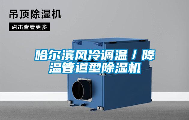 哈爾濱風冷調溫／降溫管道型91视频链接下载