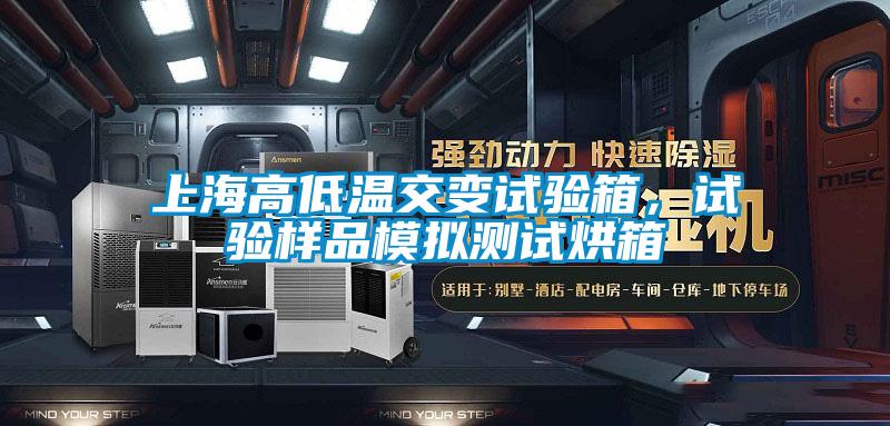 上海高低溫交變試驗箱，試驗樣品模擬測試烘箱