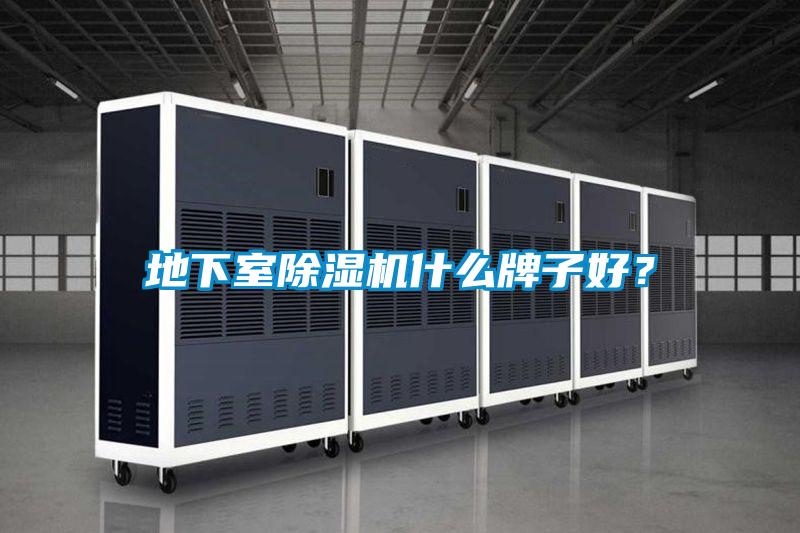 地下室91视频链接下载什麽牌子好？