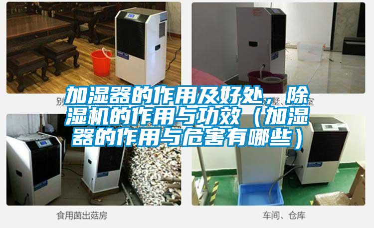 加濕器的作用及好處，91视频链接下载的作用與功效（加濕器的作用與危害有哪些）