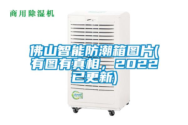 佛山智能防潮箱圖片(有圖有真相，2022已更新)