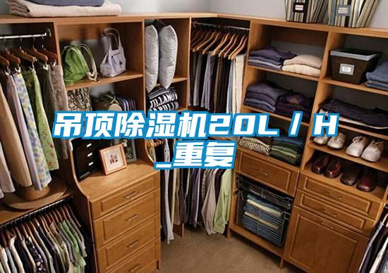 吊頂91视频链接下载20L/H_重複