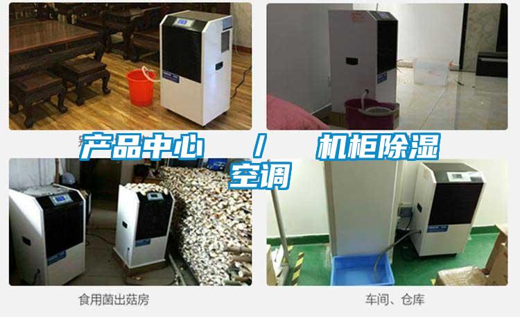 產品中心 / 機櫃除濕空調