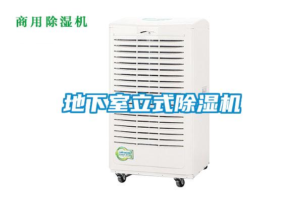 地下室立式91视频链接下载