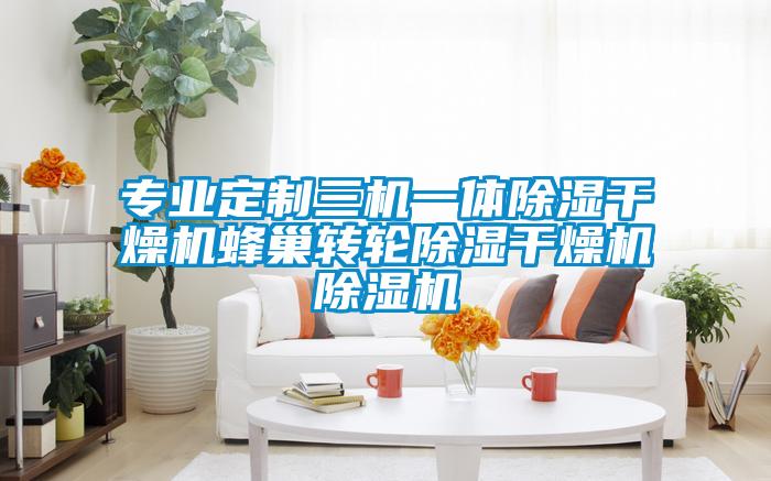 專業定製三機一體除濕幹燥機蜂巢轉輪除濕幹燥機91视频链接下载
