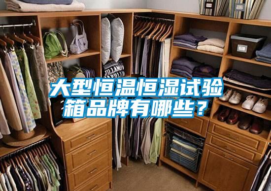 大型恒溫恒濕試驗箱品牌有哪些？